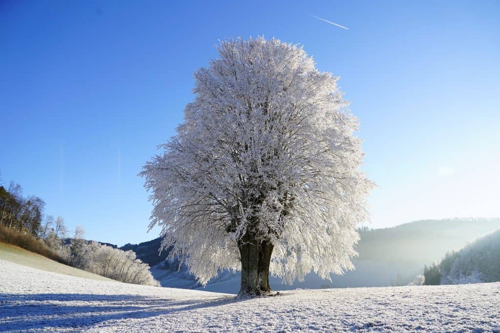 Winterwanderung (Teaserbild)